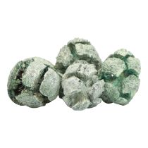 Artikel Zypressen Zapfen Gefrostet Naturdeko 3cm Grün 500g