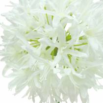 Artikel Zierlauch Allium künstlich Weiß Ø12cm H62cm