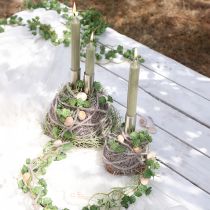 Artikel Natürliches Bastelmaterial Palmfasern Weiß Gewaschen, 1kg Palmyrapalme für Deko & Handwerk