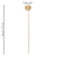 Artikel Bell Cup Mix am Stiel Natur Exoten 15 St