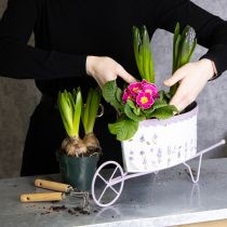 Artikel Blumentopf Schubkarre mit stilvoller Lavendeloptik 46cm