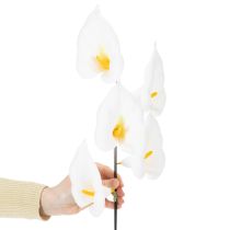 Artikel Calla am Draht klein Weiß 50 St