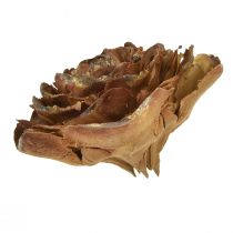 Artikel Zapfen von Zeder geschnitten als Rose Cedarrose 4-6cm natur 50 St