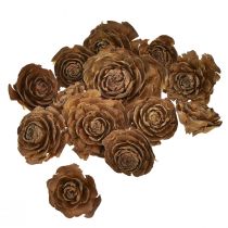 Artikel Zapfen von Zeder geschnitten als Rose Cedarrose 4-6cm natur 50 St