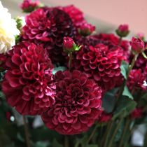 Artikel Dahlien Kunstblumen mit Lila Blüte Ø10cm L80cm 2St