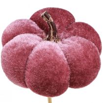 Artikel Deko Kürbis aus Stoff Kürbis am Stab Burgund Rosa Ø7cm 9 St