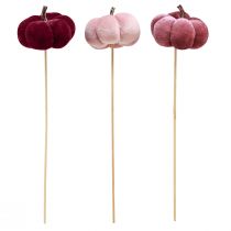 Artikel Deko Kürbis aus Stoff Kürbis am Stab Burgund Rosa Ø7cm 9 St