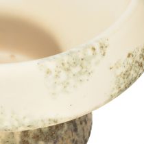 Artikel Deko Schale Keramik mit Sockel Creme Graugrün Ø17cm 10cm