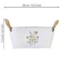 Artikel Deko Schale Oval Metall Weiß Natur Blumen Dekor L26cm