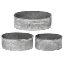 Artikel Dekoschale Metall Steckschale Oval Grau L22,5/19,5/16cm 3er-Set