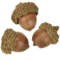 Artikel Eicheln zum Dekorieren, Herbstdeko, Herbstfrüchte natürlich Ø1,5 – 2,5cm L1,5 – 3cm 300g