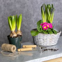 Artikel Geflochtener Korb als Stilvolle Blumendekoration im Wohnbereich Osterkorb 23cm 6St