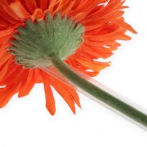 Artikel Gerbera Stütz Schlauch 200m