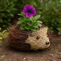 Artikel Herbstdeko Set Igel Pilze Drachen – Deko Box günstig kaufen