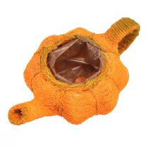 Artikel Kanne zum Bepflanzen Kürbis Deko Orange/Gelbgrün Ø13cm