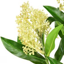 Artikel Künstliche Blumen Creme Skimmia japonica Skimmie 45cm 2St