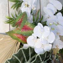 Artikel Künstliche Kaladie sechsblättrig Grün/rosa Künstliche Pflanze wie echt !