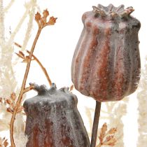 Artikel Mohnkapseln Deko Trockenblumen Kunstpflanzen Farn Creme 63cm – Elegante Dekoration für Zuhause & Hochzeit