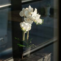 Artikel Künstliche Orchidee im Topf für ein harmonisches Ambiente weiß 60cm