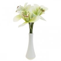 Floristik24 Künstliche Orchideen Kunstblumen in Vase Weiß/Grün 28cm