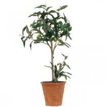 Floristik24 Künstlicher Olivenbaum im Topf Kunstpflanze Olive H63,5cm