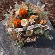 Artikel Kunstblumen, Banksia, Proteaceae Orange L58cm H6cm 3 St