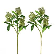 Artikel Kunstblumen Grün Skimmia japonica Skimmie 45cm 2St