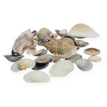 Artikel Muschelmix Natur 400g