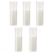 Artikel Nachfüllkerzen für Grablichter Weiß 84h H17cm 5 St