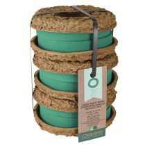Artikel OASIS® Biolit® Ring/Kranz 17cm 6 St