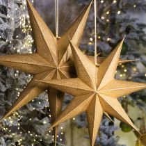 Artikel Weihnachtsstern Beleuchtung Papierstern Dekoration Festlich Elegantes Design