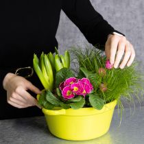 Artikel Pflanzschale Blech Frühlingsdekoration im Wohnzimmer 25cm 3St