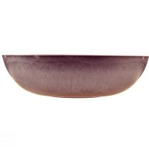 Artikel Elegante lila Schale aus Kunststoff 37x10.5 cm – Vielseitig einsetzbar für Dekoration – 3St
