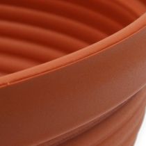 Artikel R-Schale Plastik Terrakotta Ø 13cm - 19cm, 10St