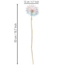 Artikel Pusteblume Deko Trockenblume stabilisiert und gefärbt Filigran langlebig 12cm 4St