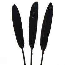 Artikel Schwarze Federn Deko Gänsefedern Schwarz 11-14cm 180 St