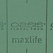 Artikel Steckschaum Ideal 20 Ziegel