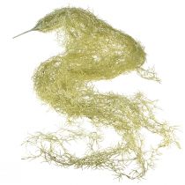 Artikel Tillandsie Deko Hänger Tillandsia künstlich Grün Weiß 180cm