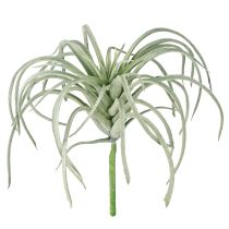 Artikel Tillandsia Sukkulente künstliche Grünpflanzen 13cm