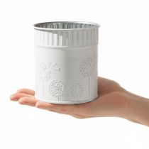 Artikel Übertopf Pusteblumen Blumentopf Weiß Ø9,5cm H11cm