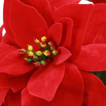 Artikel Weihnachtsstern Christstern Rot Künstlich L55cm 2St
