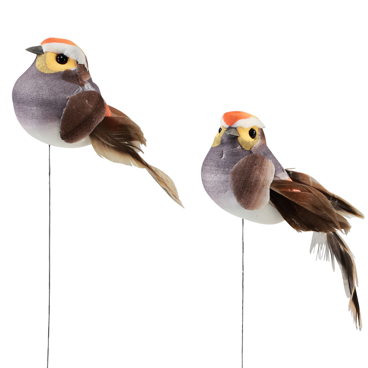 Deko Vogel Mit Federn