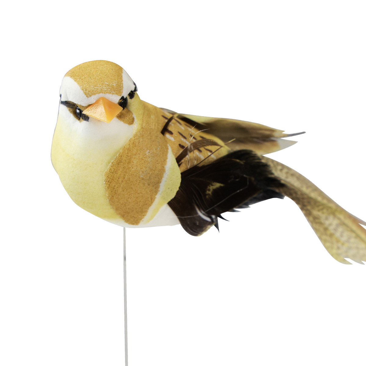 Deko Vogel Mit Federn