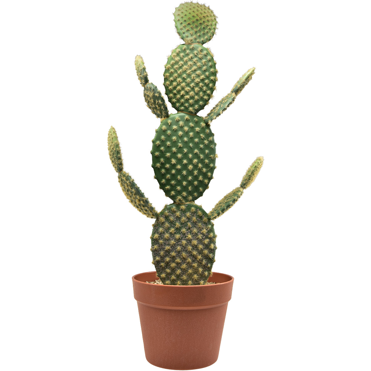 Deko Kaktus Künstliche Topfpflanze Feigenkaktus
