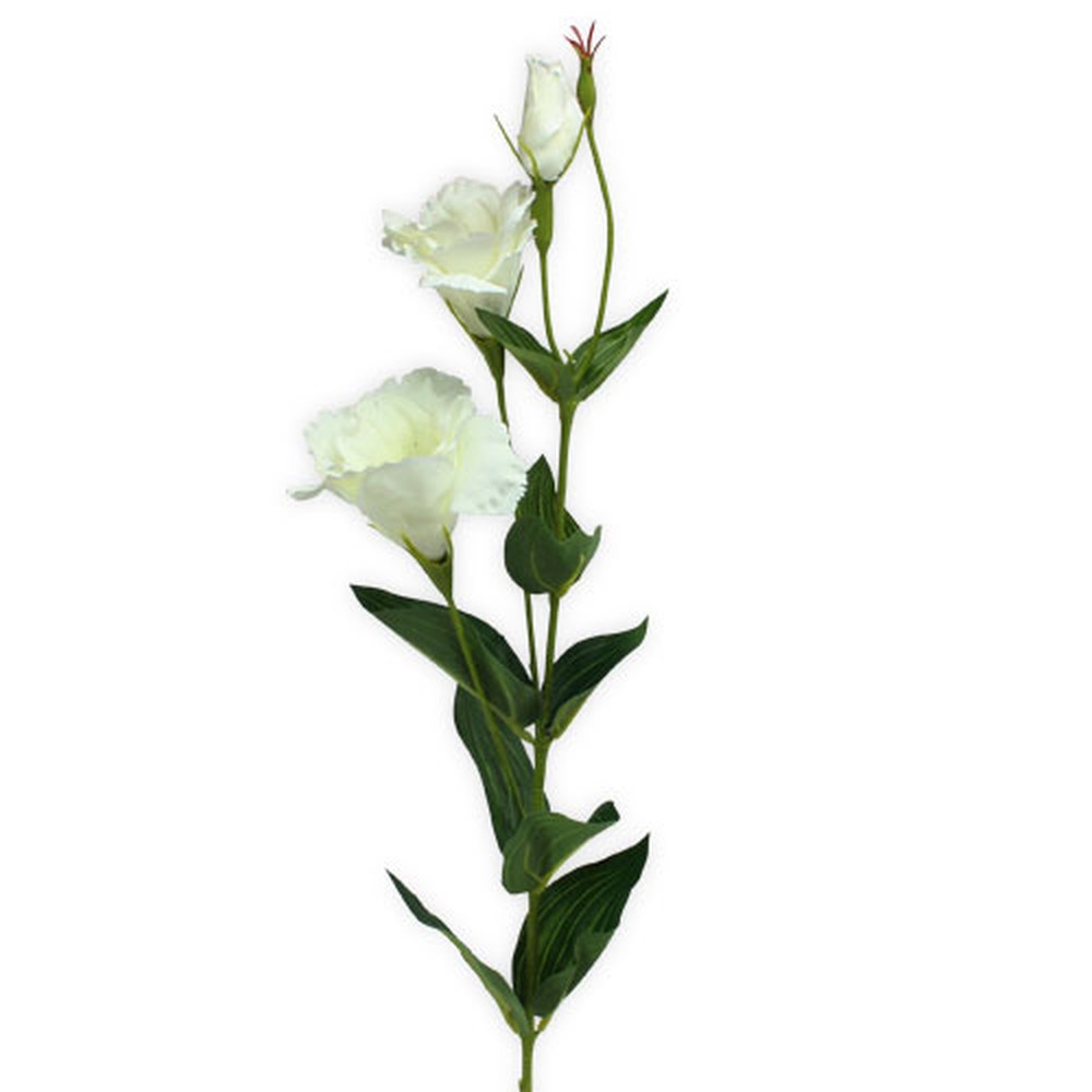 Eustoma Weiß 84cm 4St preiswert online kaufen