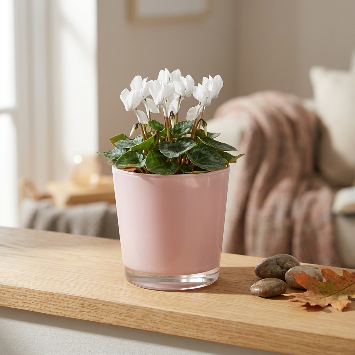Blumentopf Glas Rosa Ø10cm H8,5cm