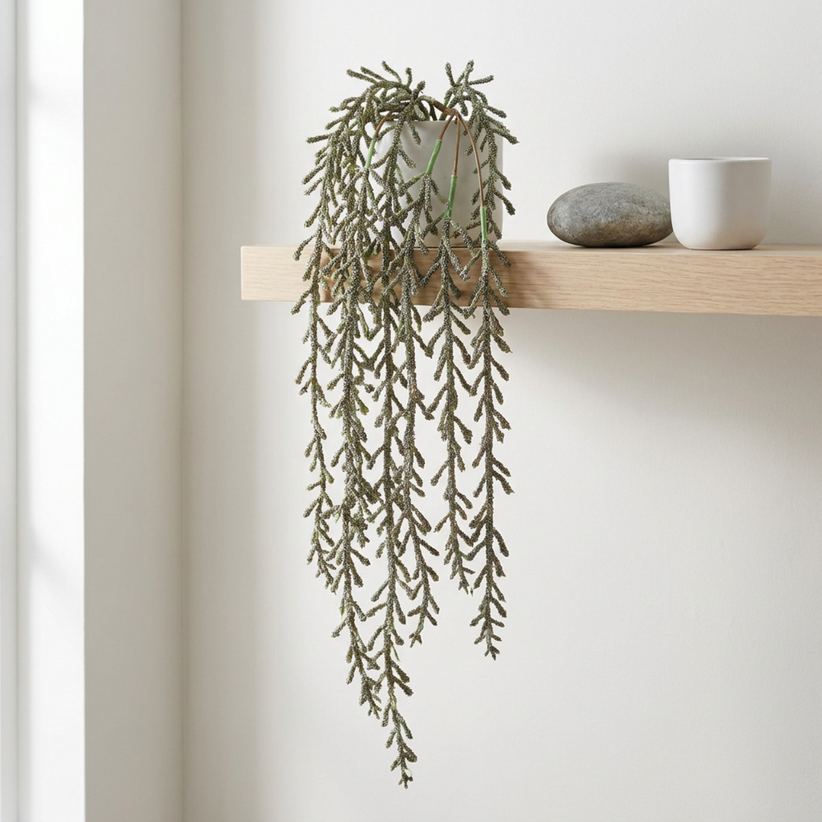 Sukkulenten-Ranke hängend Grün 114cm künstlich