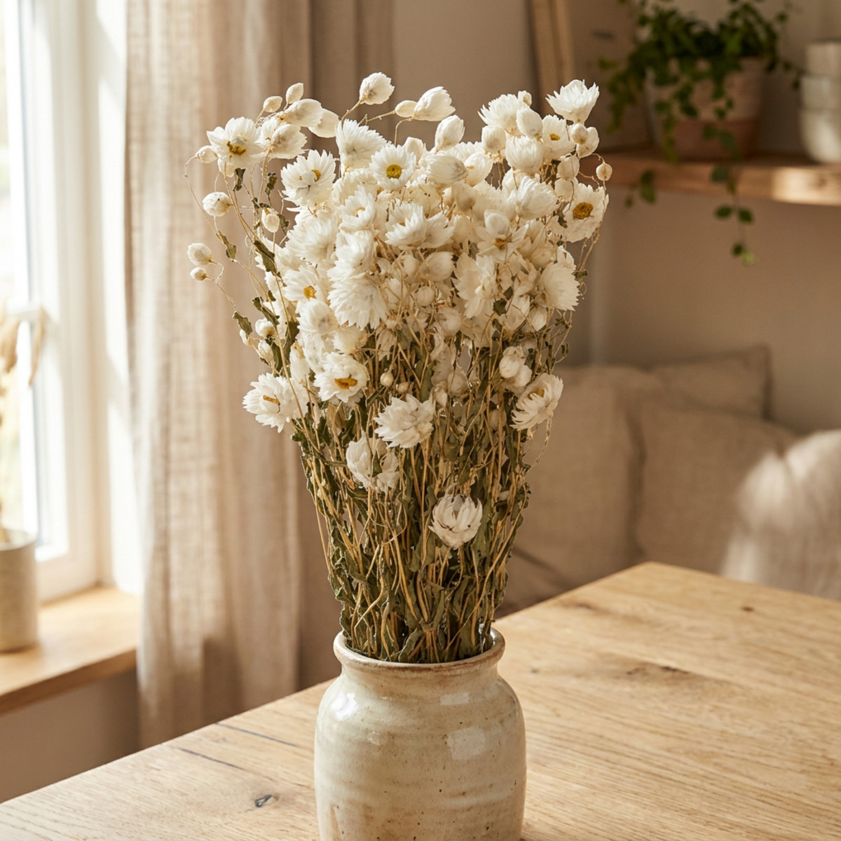 Kamille Trockenblumen Weiß Bund 65cm 50g