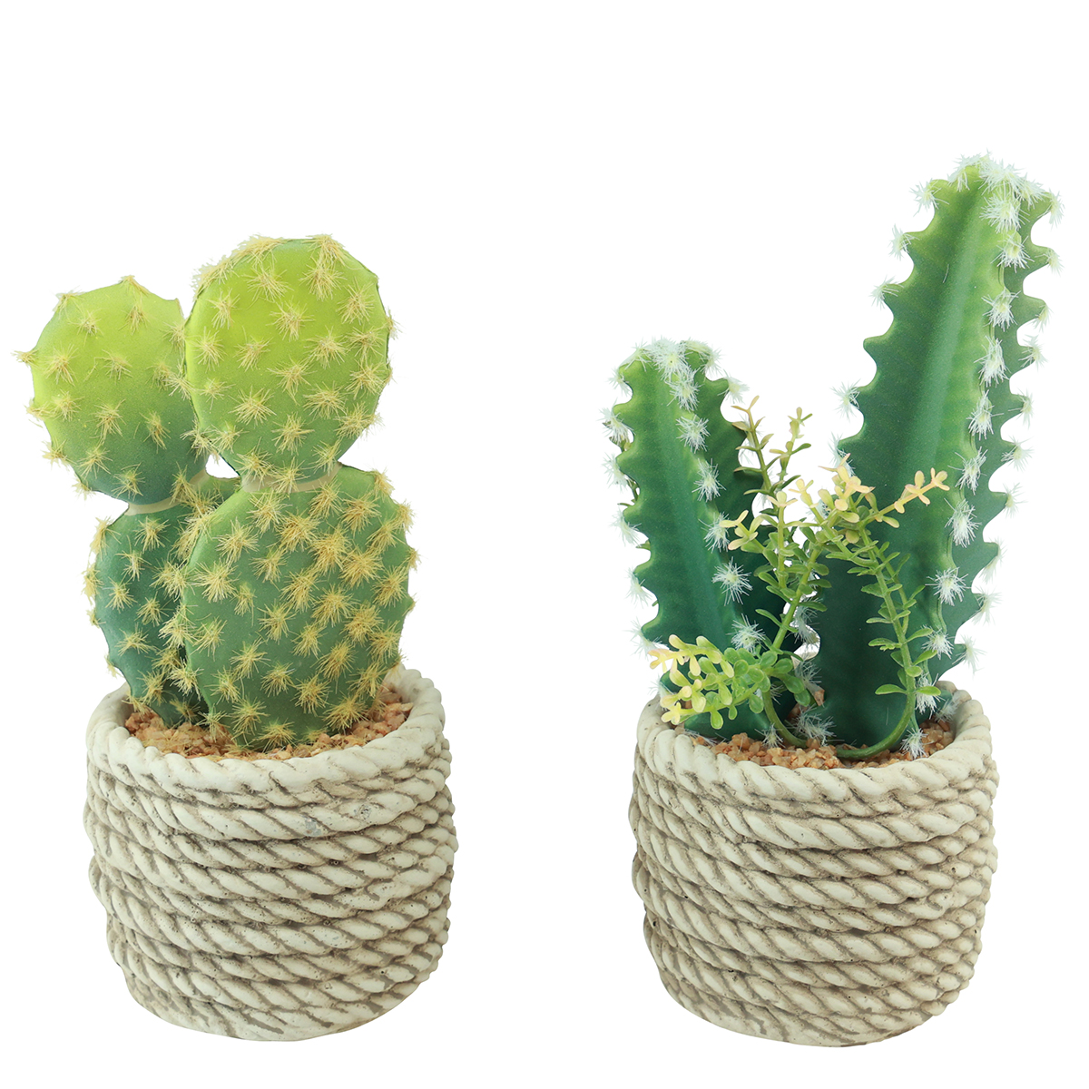 Kaktus knstlich im Topf 28cm 2er Set | Floristik24