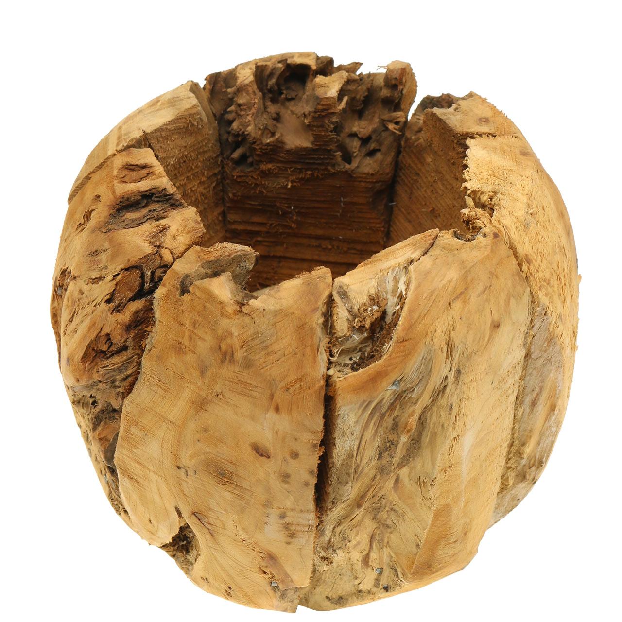 Floristik24.de Schale Topf Wurzelholz Kampfer Ø20cm H17cm65700